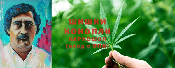 шишки Бугульма