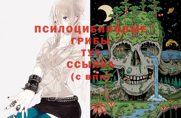 mdpv Верея