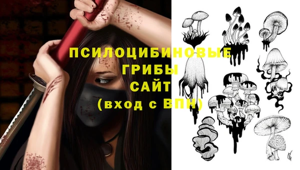 гашиш Бородино