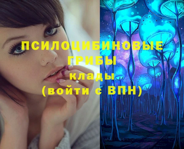 скорость Бронницы